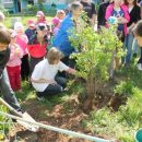 В Тюмени школьники озеленяет город