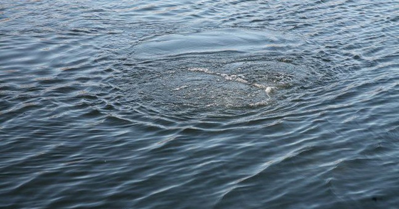 Под Тюменью на озере утонул молодой человек