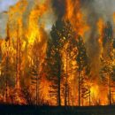 В Югре объявлена чрезвычайная пожарная опасность
