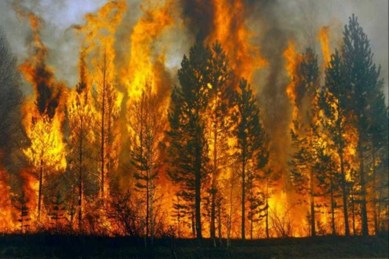 В Югре объявлена чрезвычайная пожарная опасность
