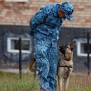 В Тюмени оцепили двор из-за подозрительного предмета. На месте находятся кинологи