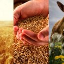 ВТБ начинает кредитование малого бизнеса в сегменте сельского хозяйства