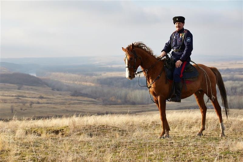 За порядком в Тюменском районе следит конь Добытчик