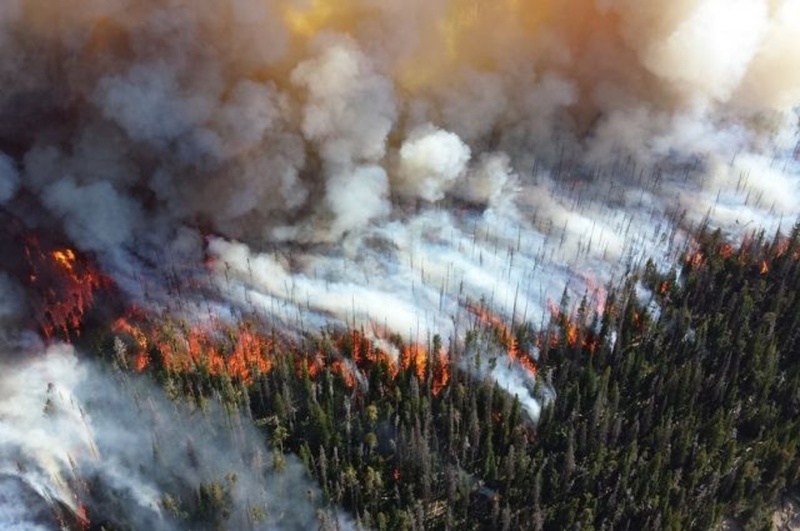 На Ямале из-за грозы начались пожары