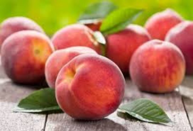 Как вырастить персик на своем участке